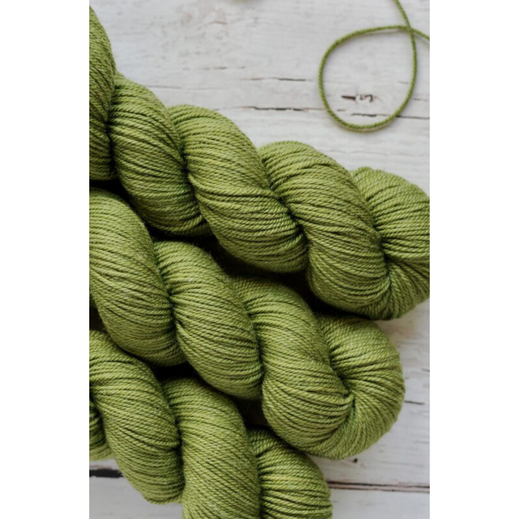 Julie Asselin Julie Asselin -Leizu DK -  Shetland