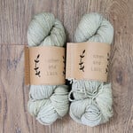 Lichen and Lace Lichen and Lace - 80/20 Sock - Sage