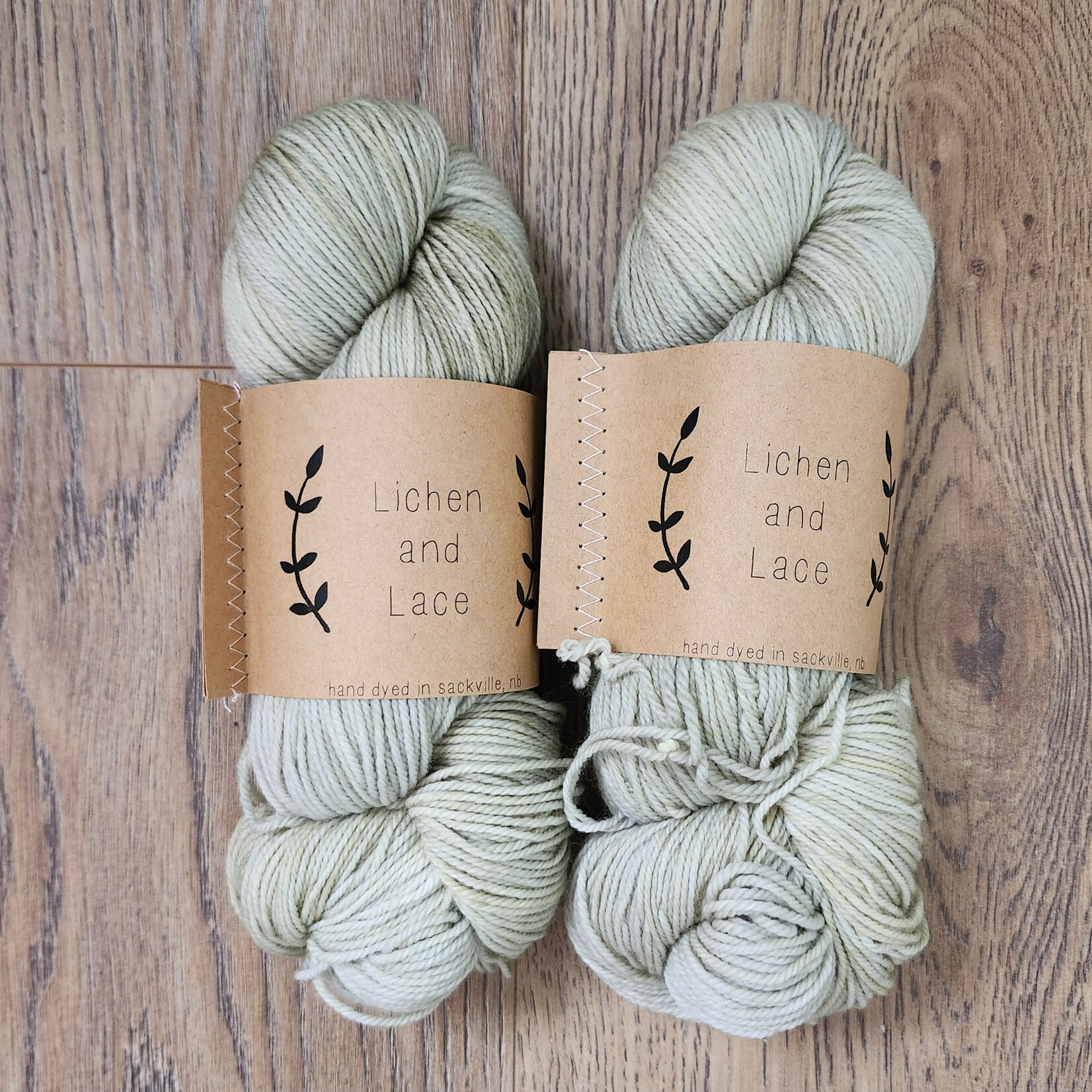 Lichen and Lace Lichen and Lace - 80/20 Sock - Sage