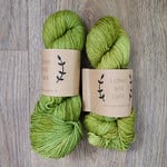 Lichen and Lace Lichen and Lace - 80/20 Sock - Olive Oil