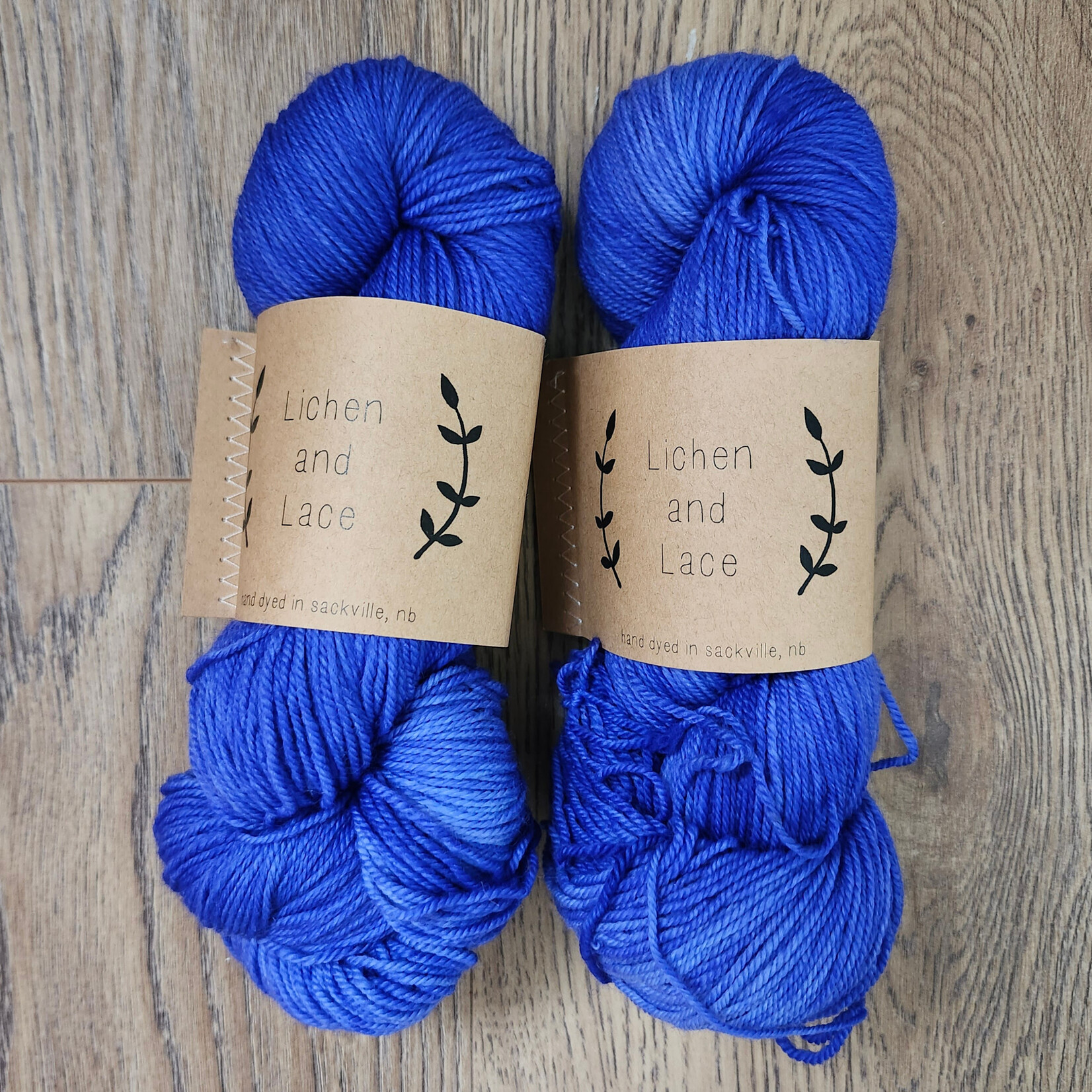 Lichen and Lace Lichen and Lace - 80/20 Sock - Sea Holly