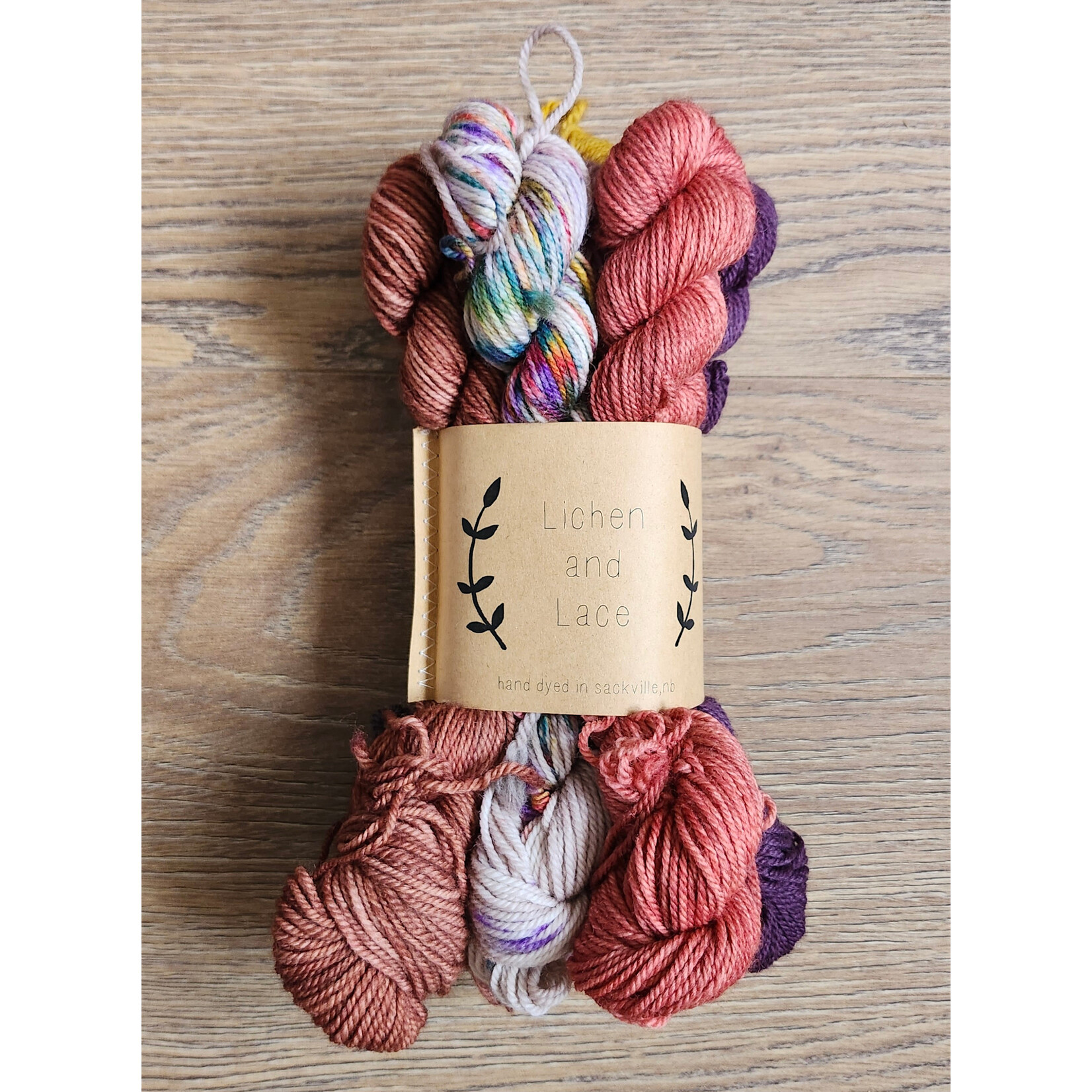 Lichen and Lace Lichen and Lace - 80/20 Sock Mini Skein Fade Set - Plum Pantry