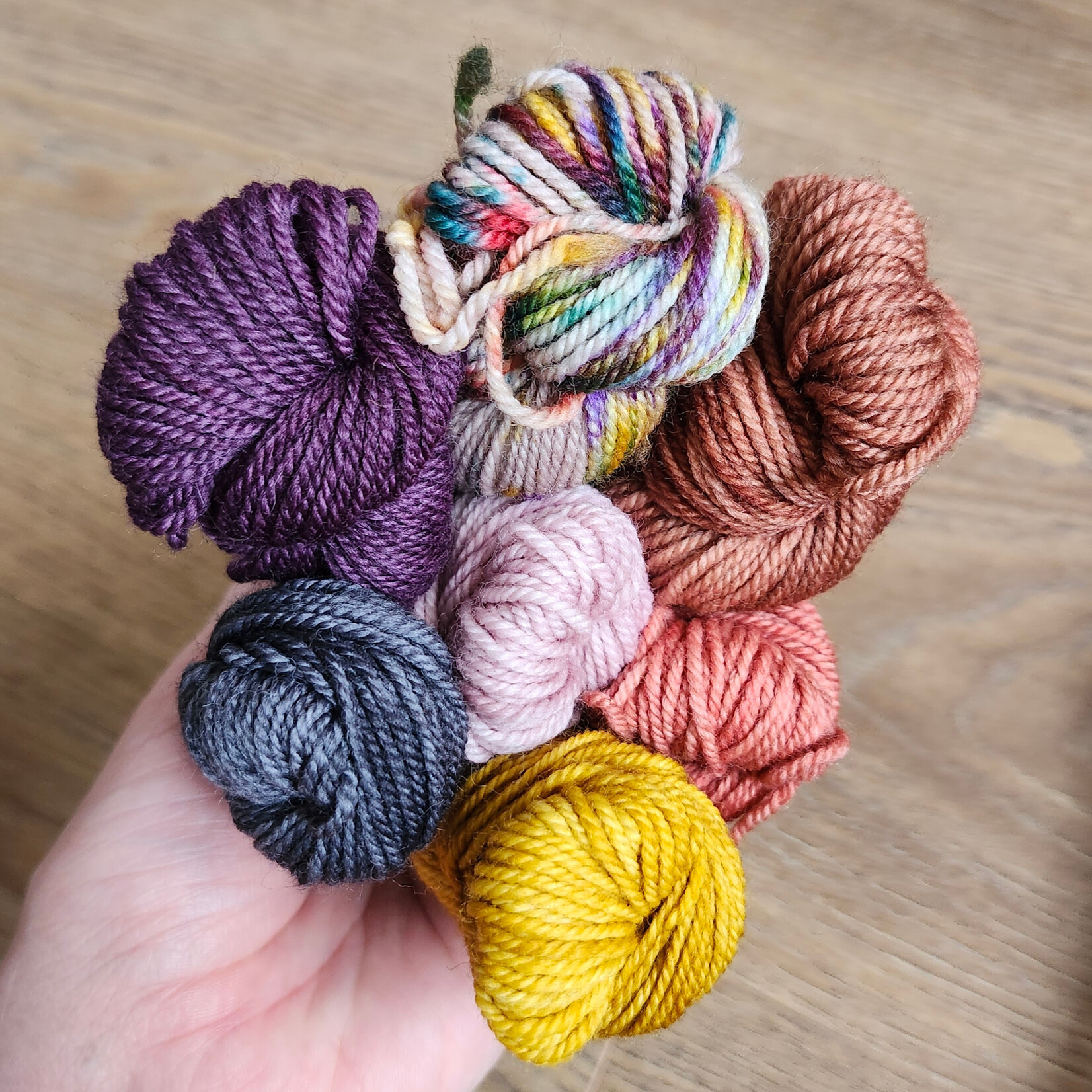 Lichen and Lace Lichen and Lace - 80/20 Sock Mini Skein Fade Set - Plum Pantry