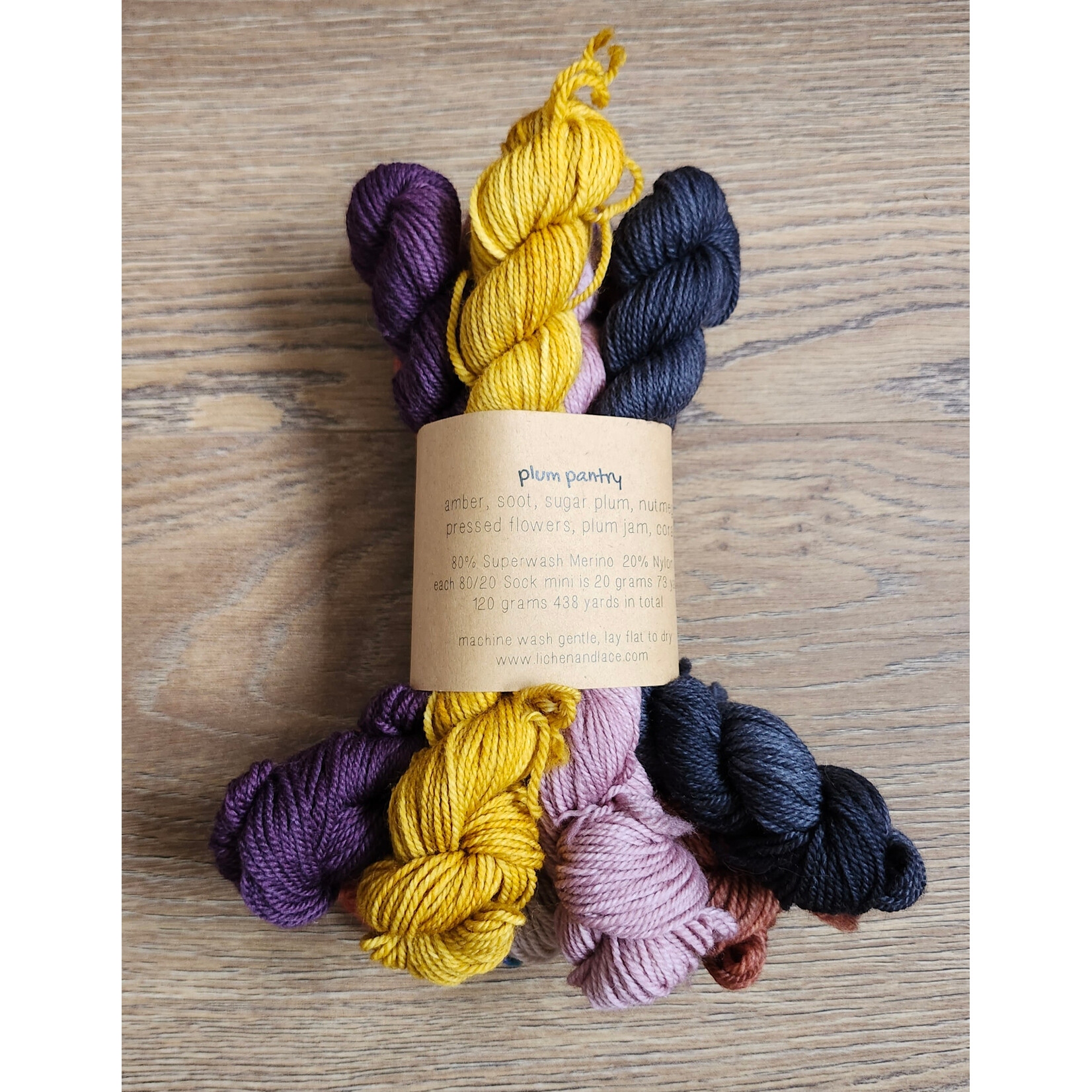 Lichen and Lace Lichen and Lace - 80/20 Sock Mini Skein Fade Set - Plum Pantry