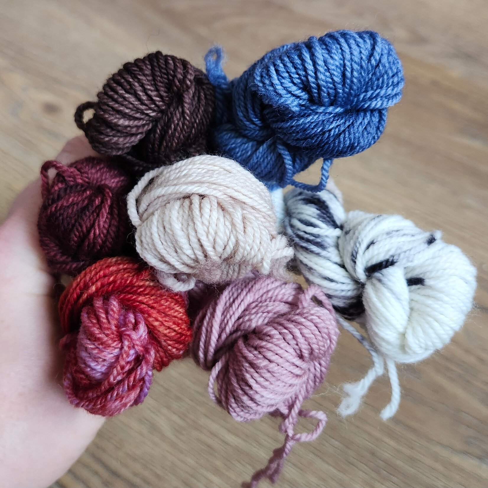 Lichen and Lace Lichen and Lace - 80/20 Sock Mini Skein Fade Set - Lobster  Bay