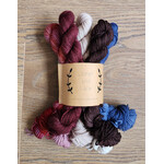 Lichen and Lace Lichen and Lace - 80/20 Sock Mini Skein Fade Set - Lobster  Bay