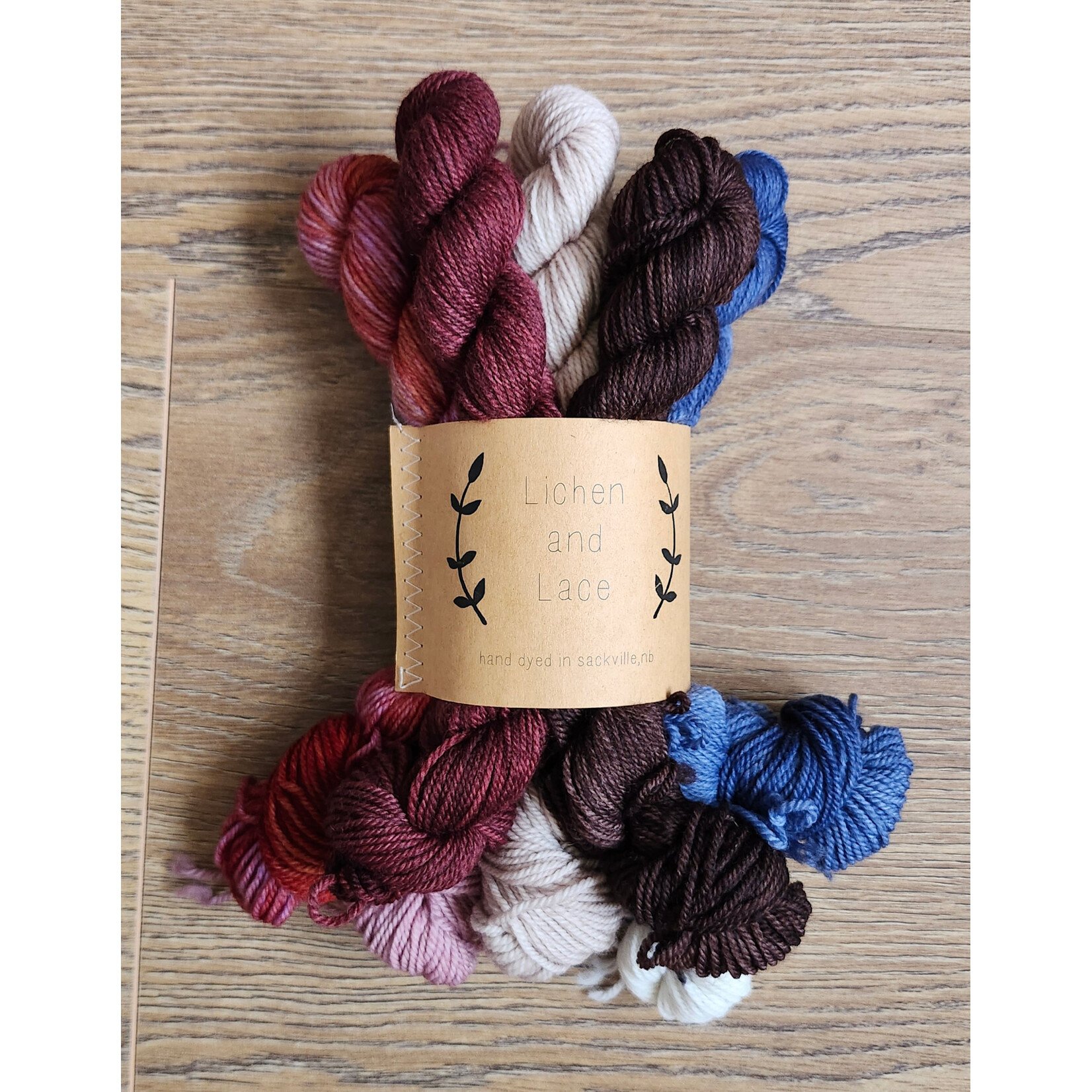 Lichen and Lace Lichen and Lace - 80/20 Sock Mini Skein Fade Set - Lobster  Bay