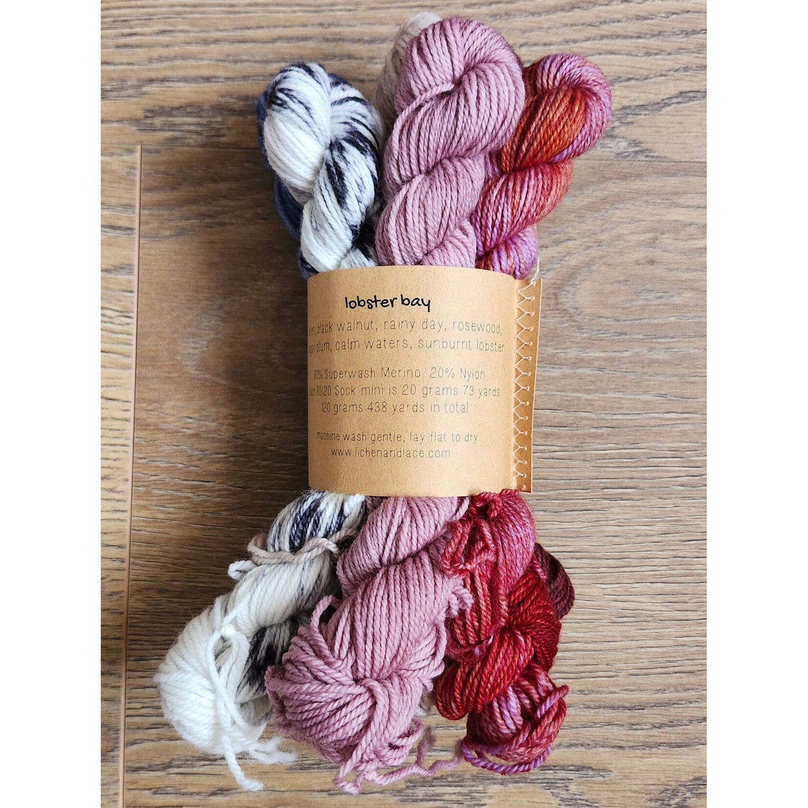Lichen and Lace Lichen and Lace - 80/20 Sock Mini Skein Fade Set - Lobster  Bay