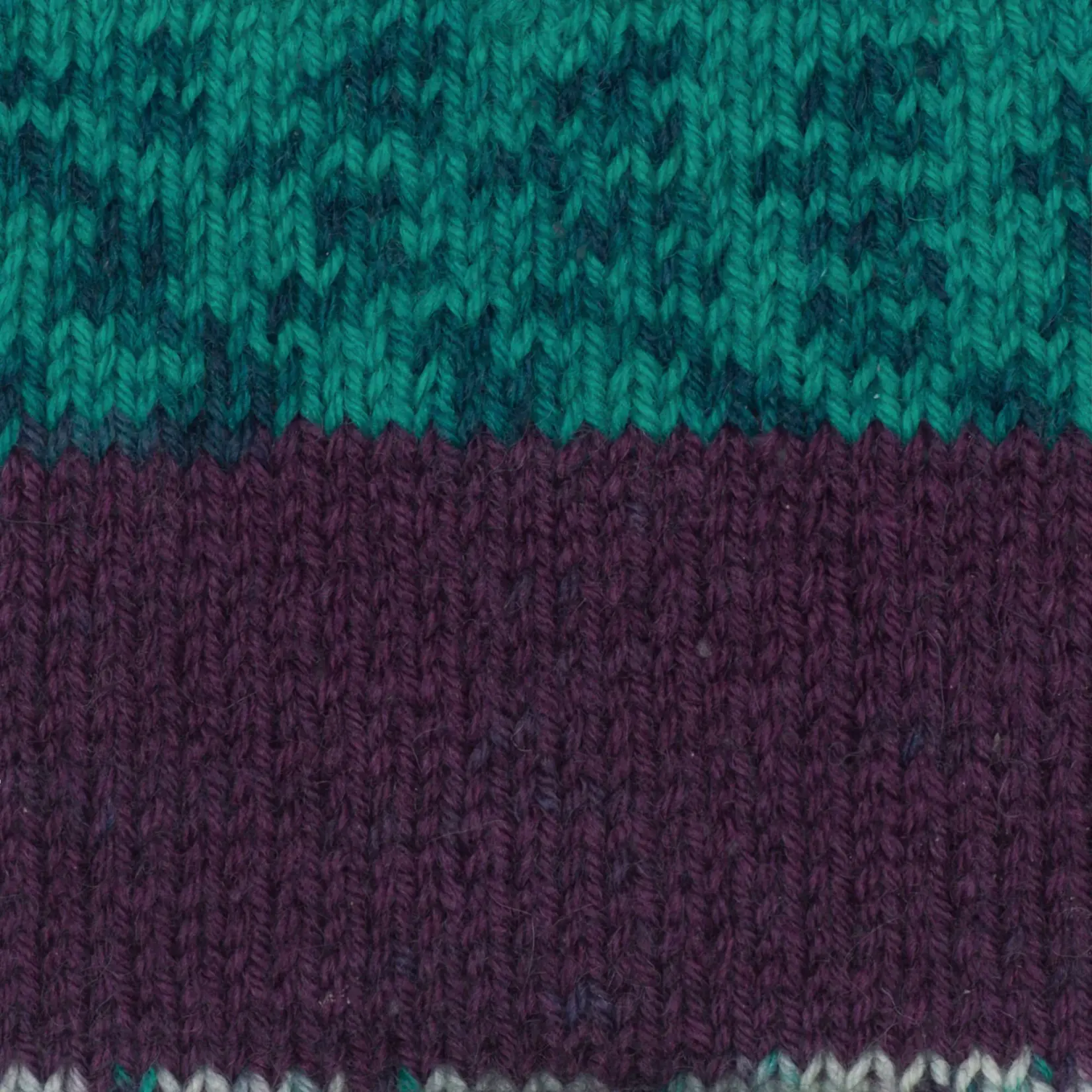 Patons Patons Kroy Socks - Blue Raspberry
