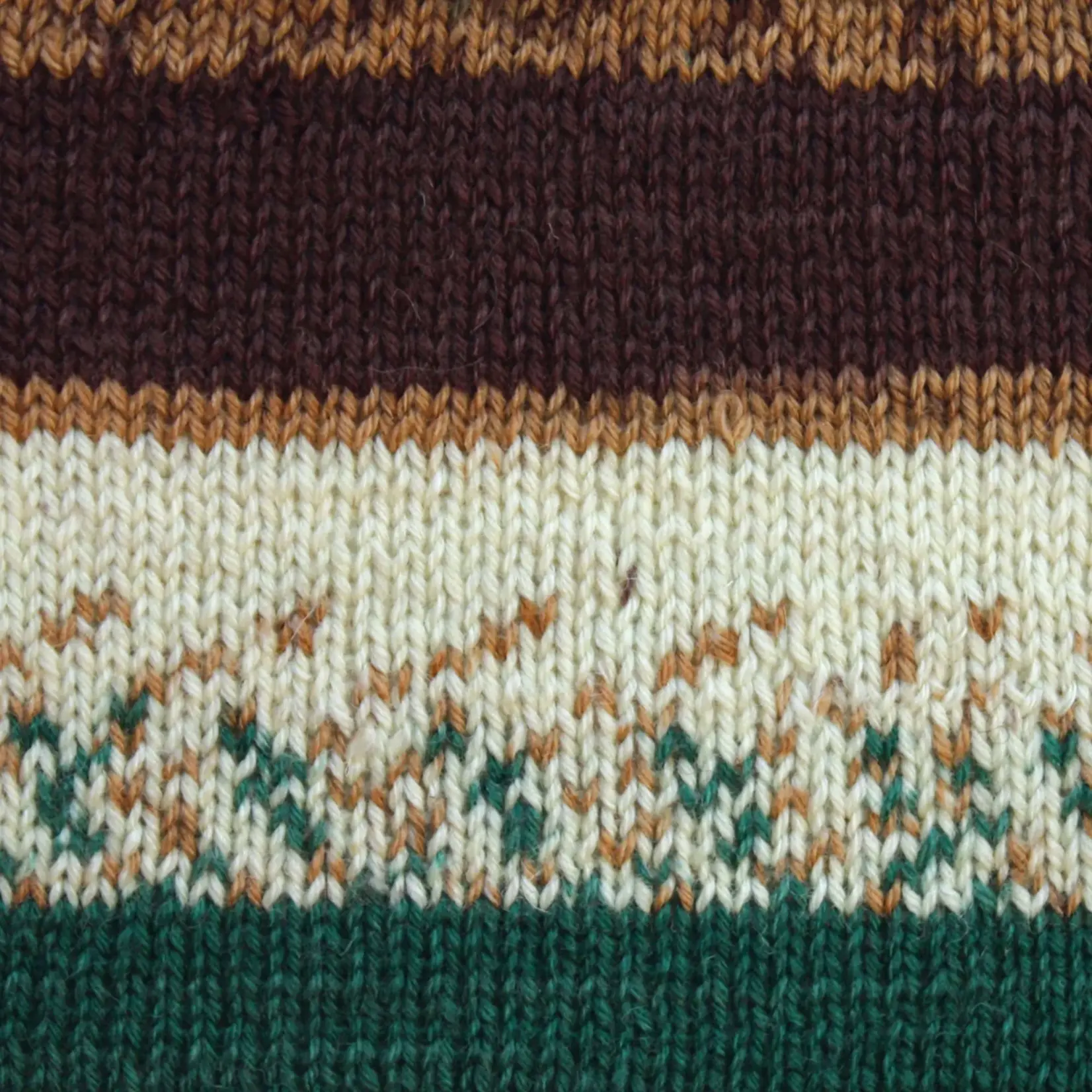 Patons Patons Kroy Socks - Woodsie