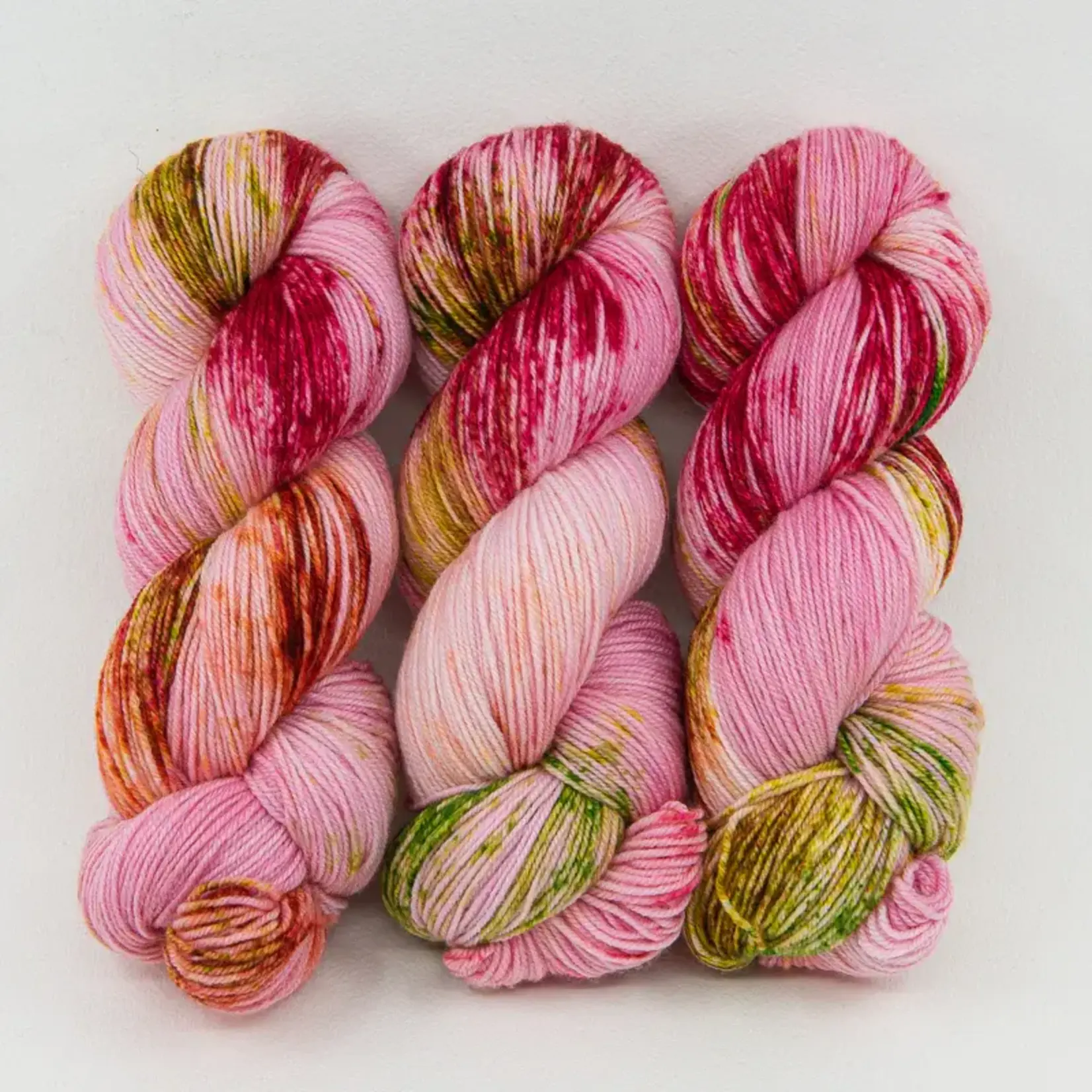 Ancient Arts Yarns - Socknado Fingering - Garden Gnomes and Pink Flamingoes