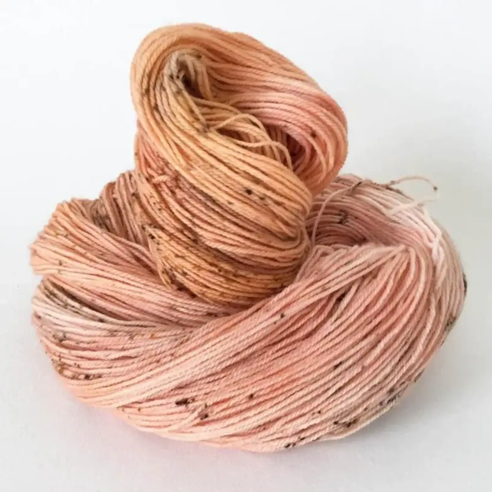 Riverside Studio - Merino DK - Apricot