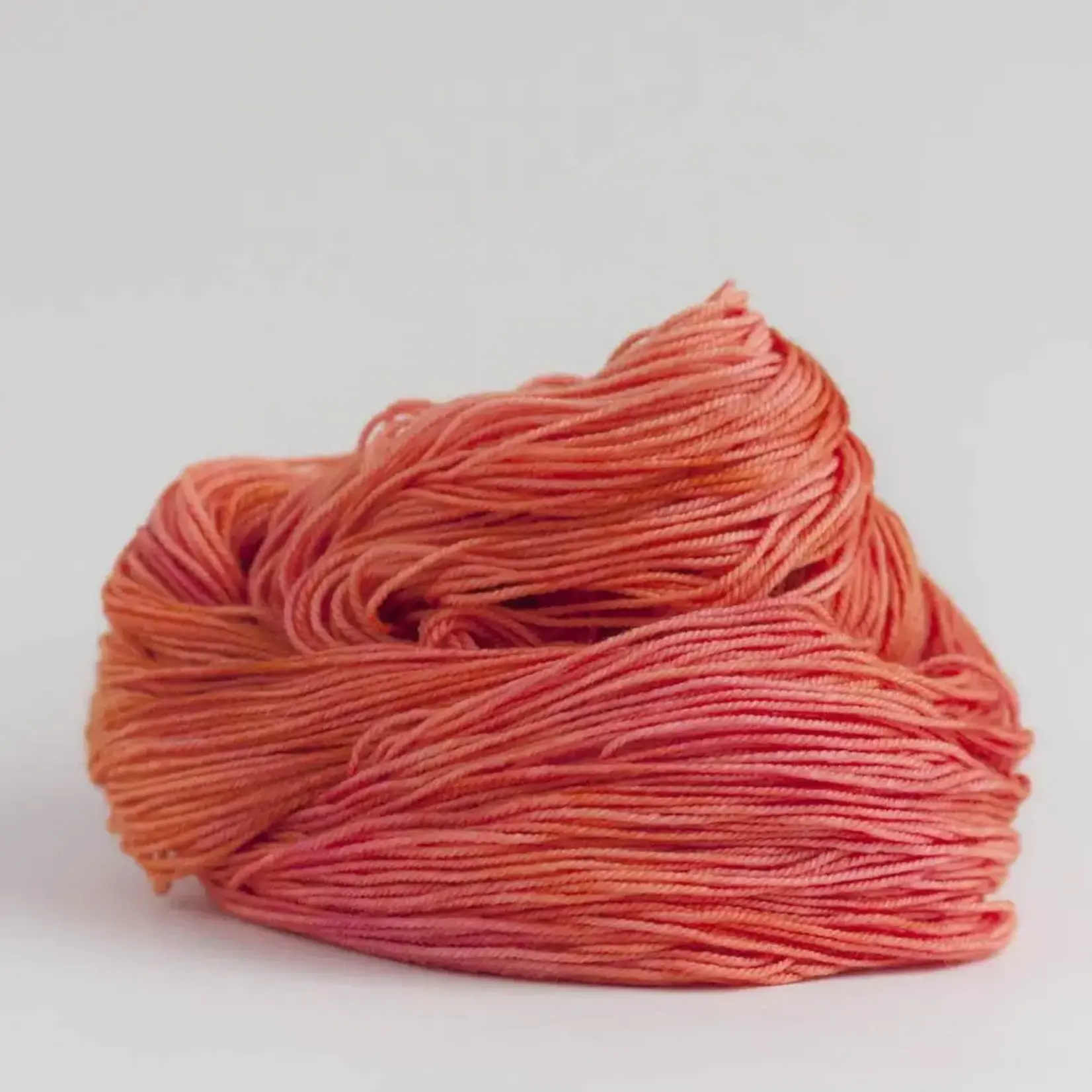 Riverside Studio - Merino DK - Coral