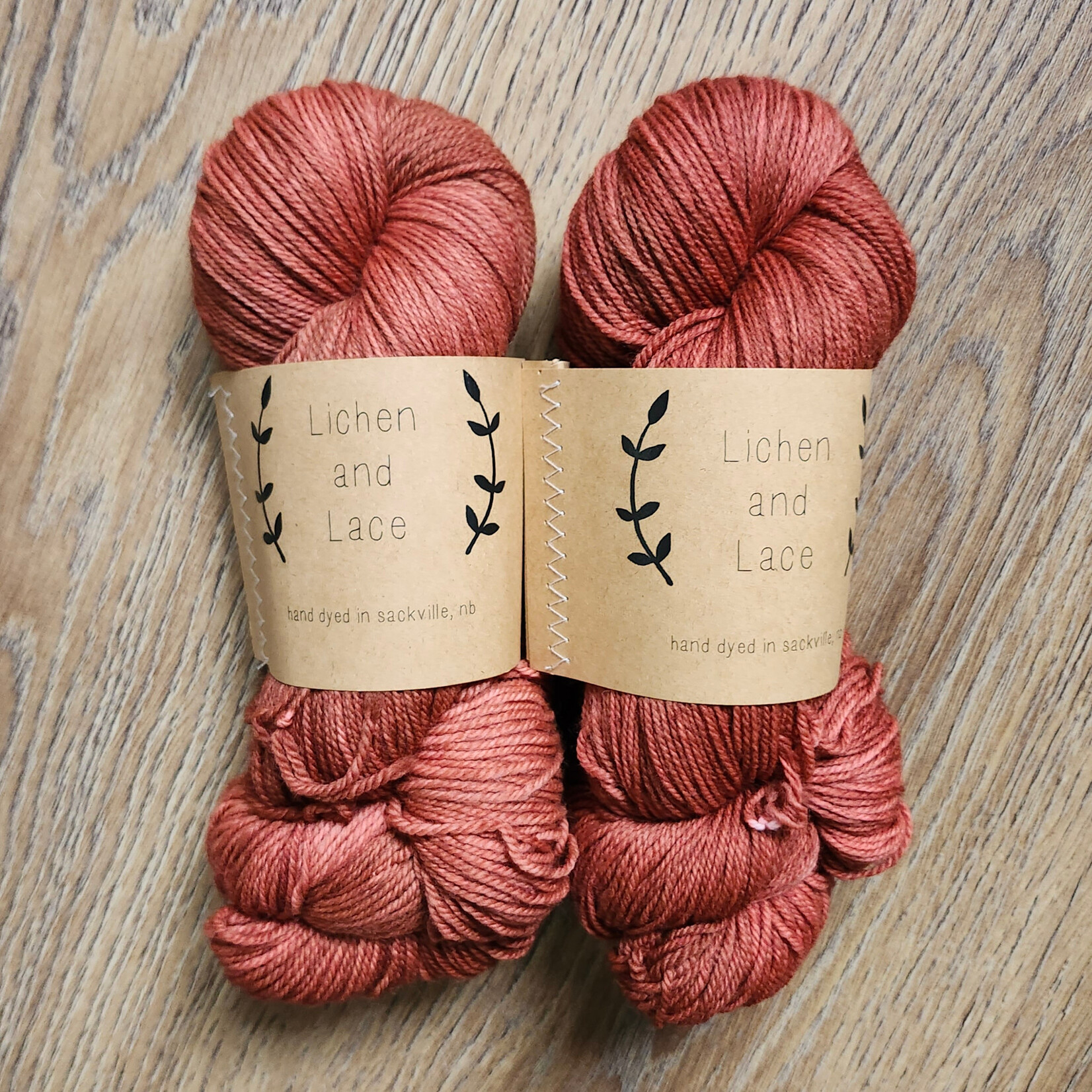 Lichen and Lace - Colour of the Month-  Limited Edition - 80/20 Sock - Terracotta