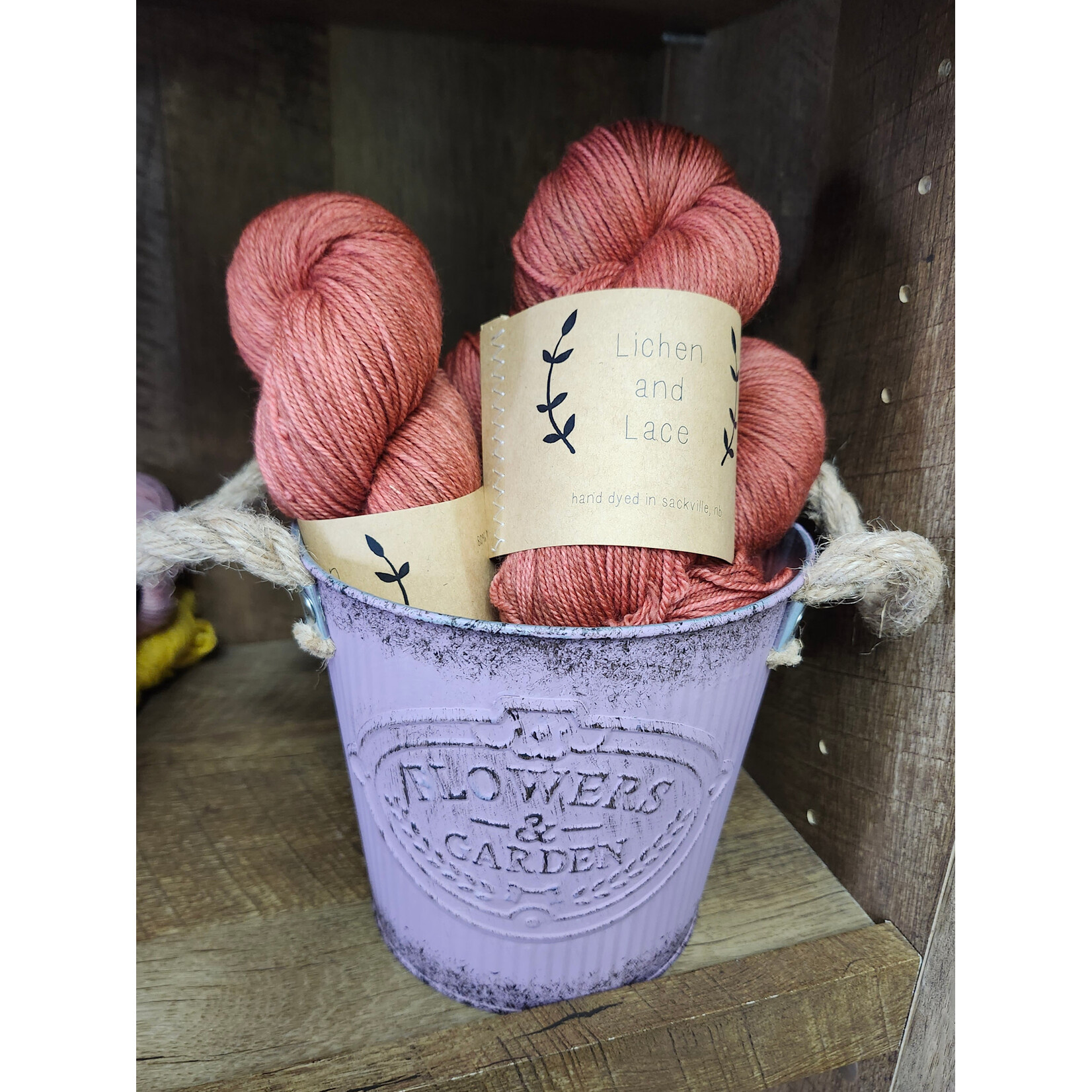 Lichen and Lace - Colour of the Month-  Limited Edition - 80/20 Sock - Terracotta