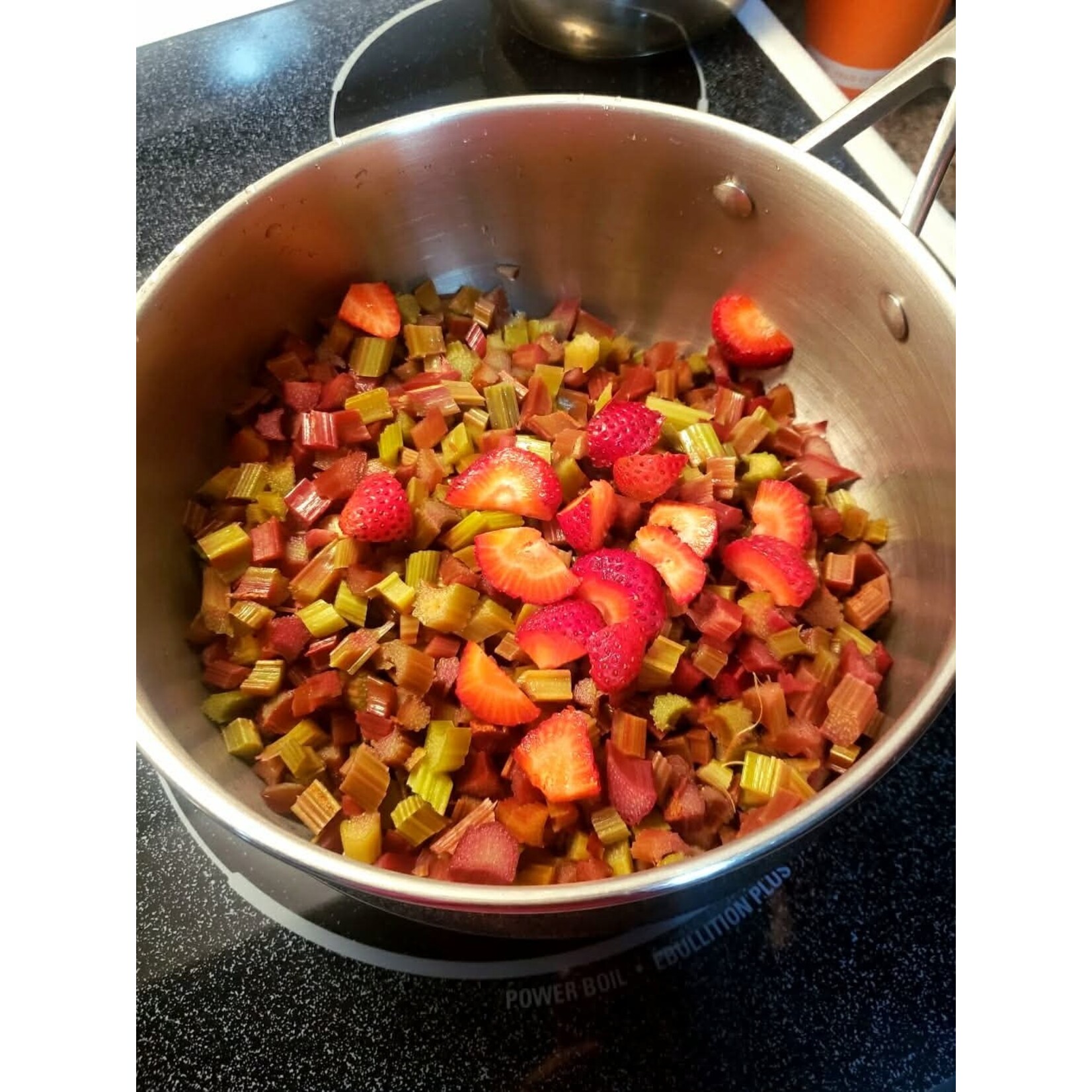 COCO's Thrummed Mittens Kit - Strawberry Rhubarb Jam
