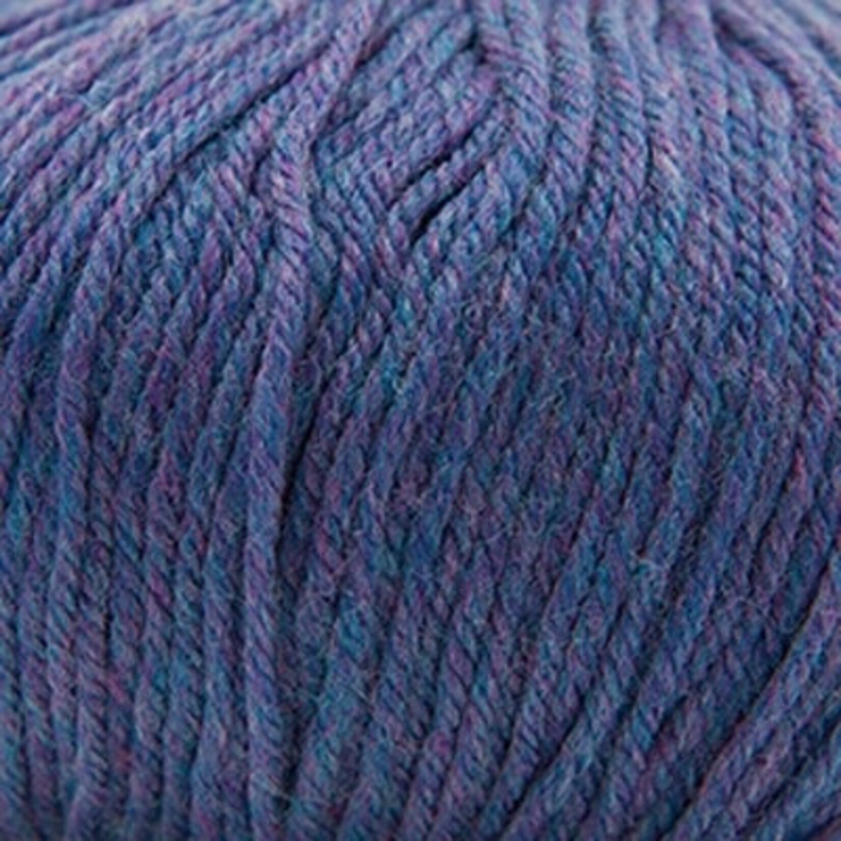 Cascade Cascade 220 Superwash - 374 Blueberry Heather