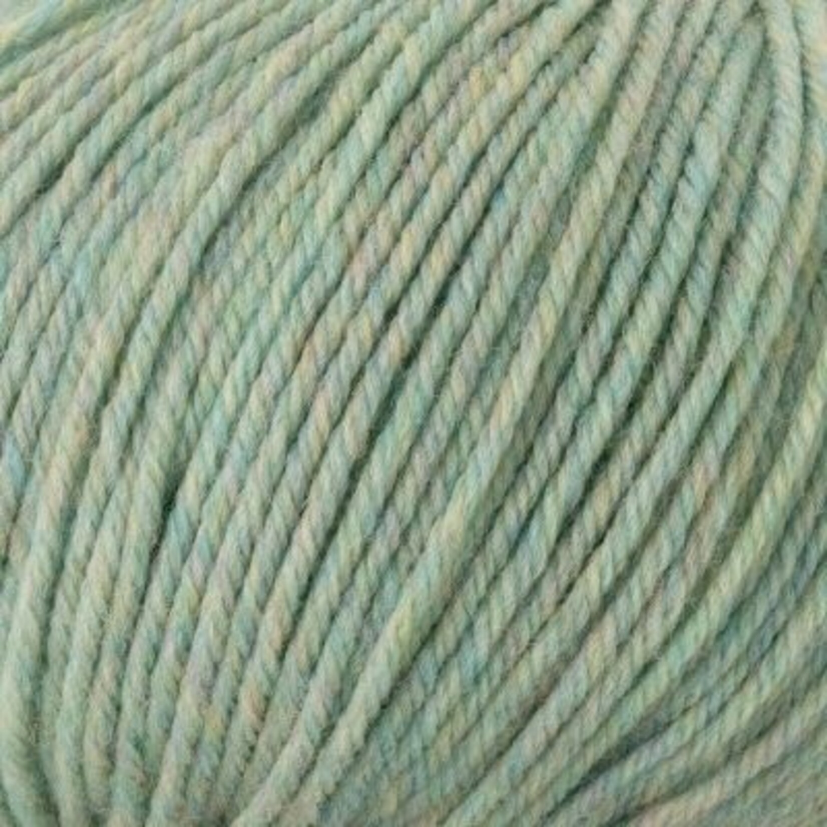 Cascade 220 Superwash - 383 Fluorite Heather