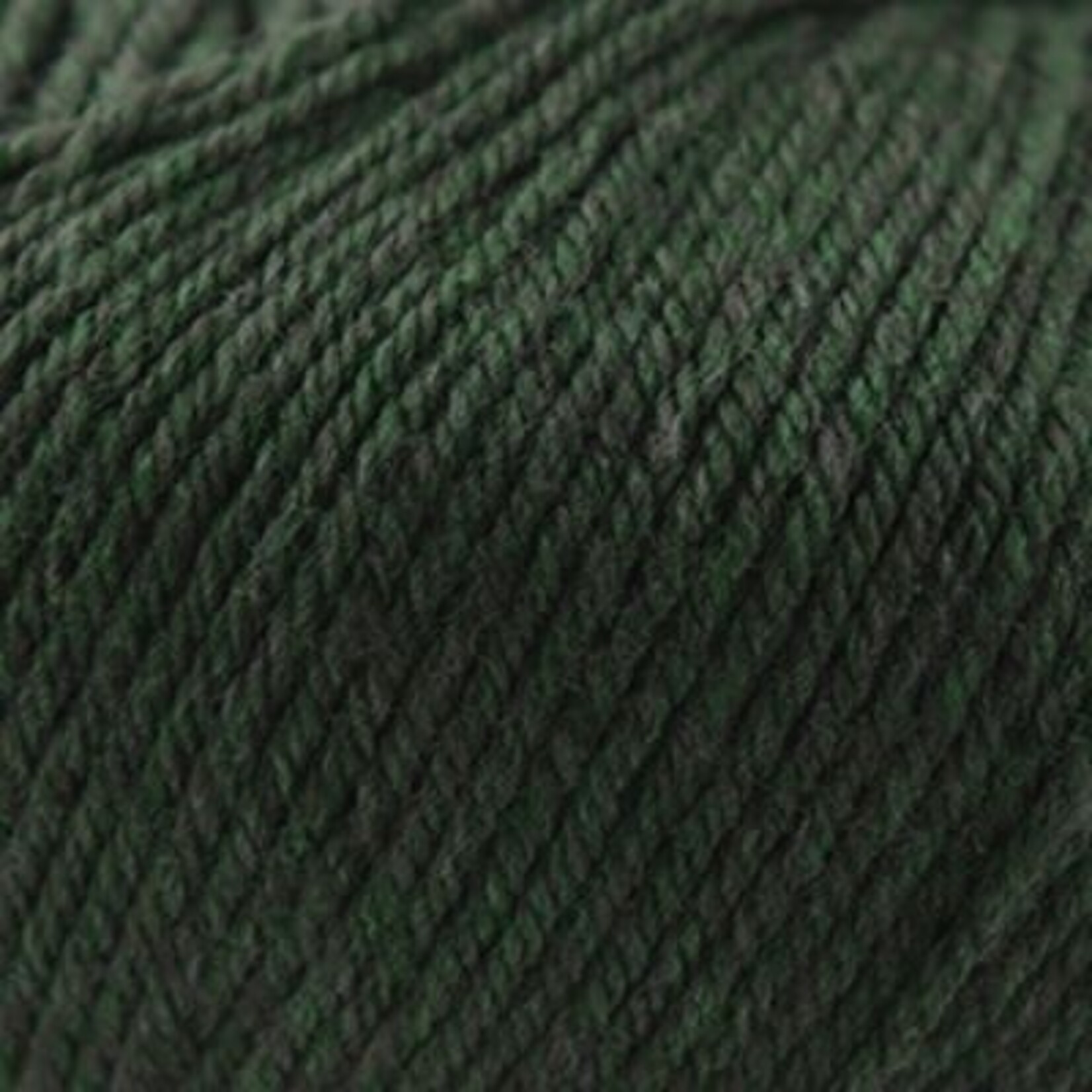 Cascade Cascade 220 Superwash -  1918 Shire Heather