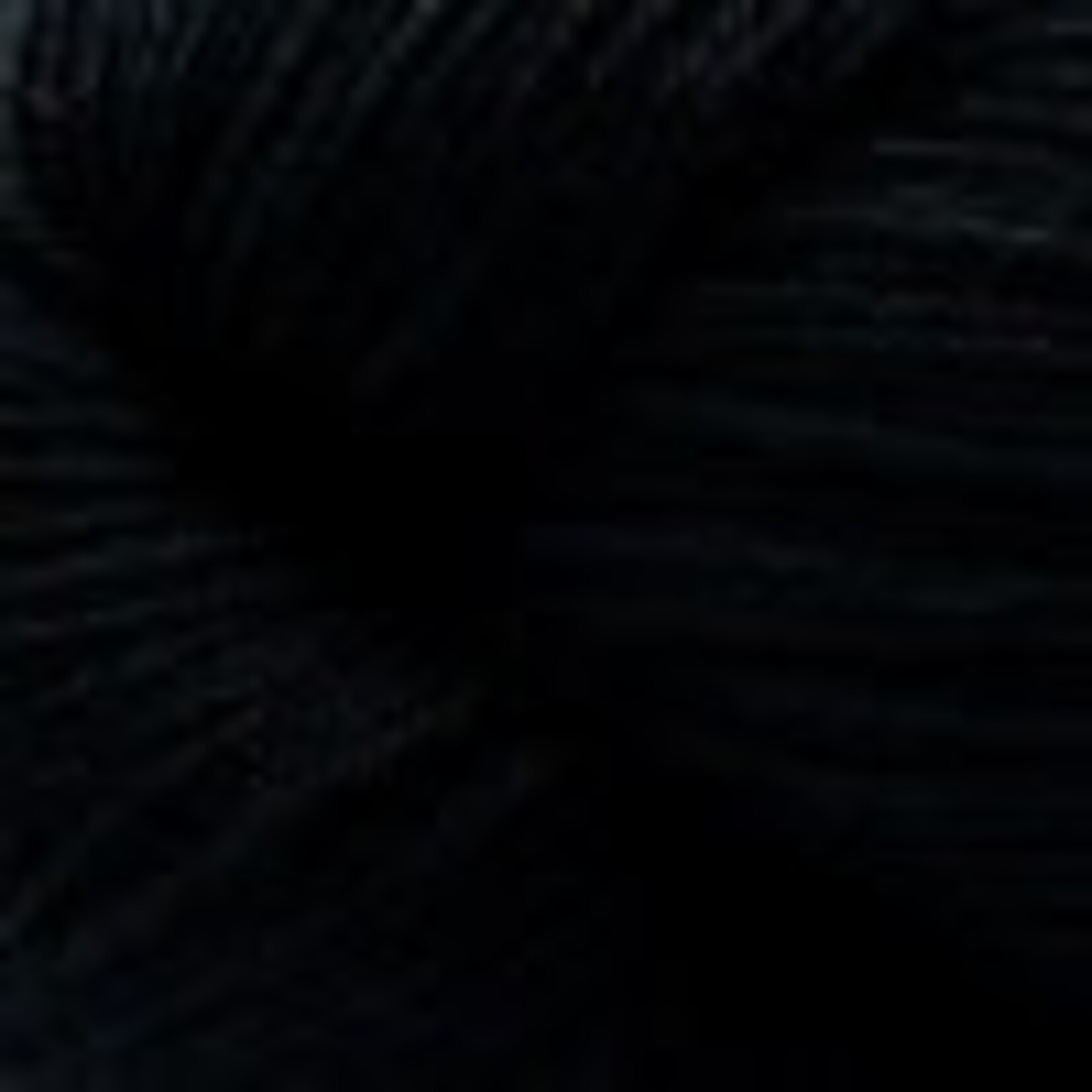 Cascade Heritage Solids - 5672 Real Black