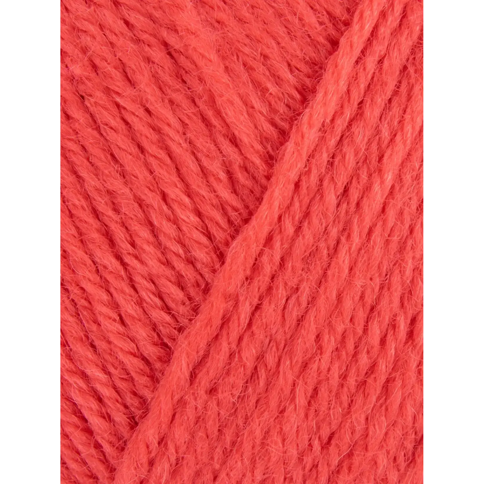 West Yorkshire Spinners West Yorkshire Spinners -  ColourLab DK  - Coral Crush 361