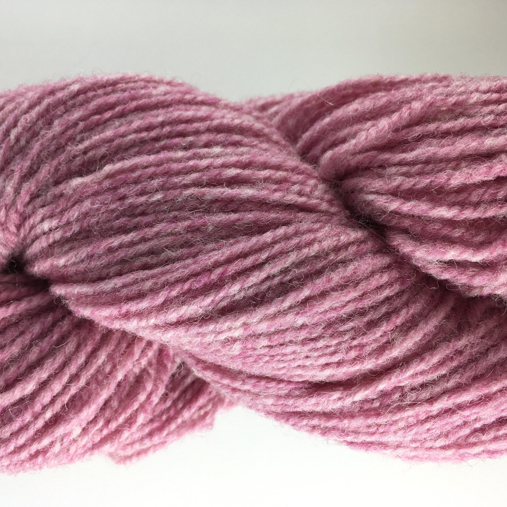 Briggs and Little BL Regal Briar Rose
