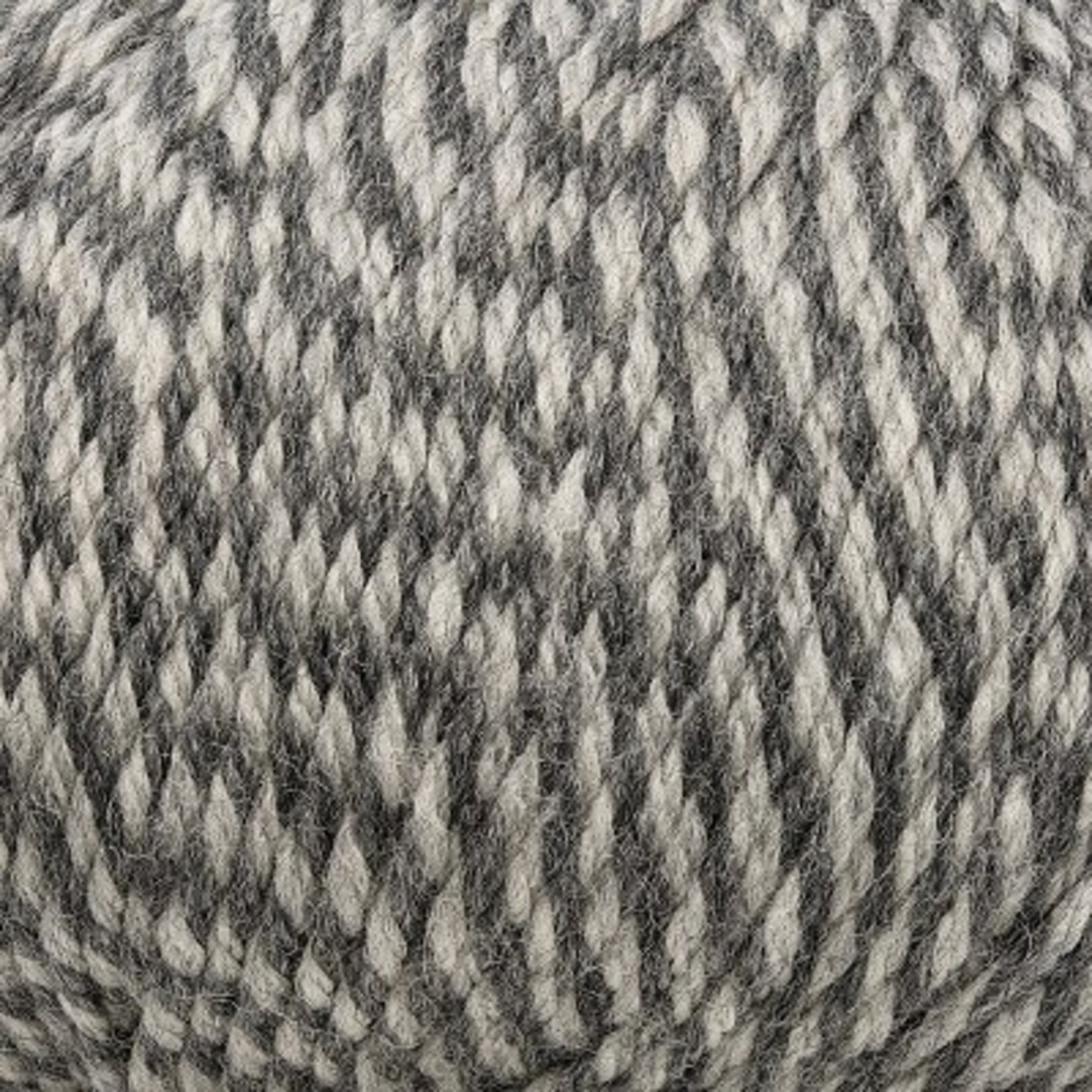Cascade 220 Superwash - 401 Charcoal Marl