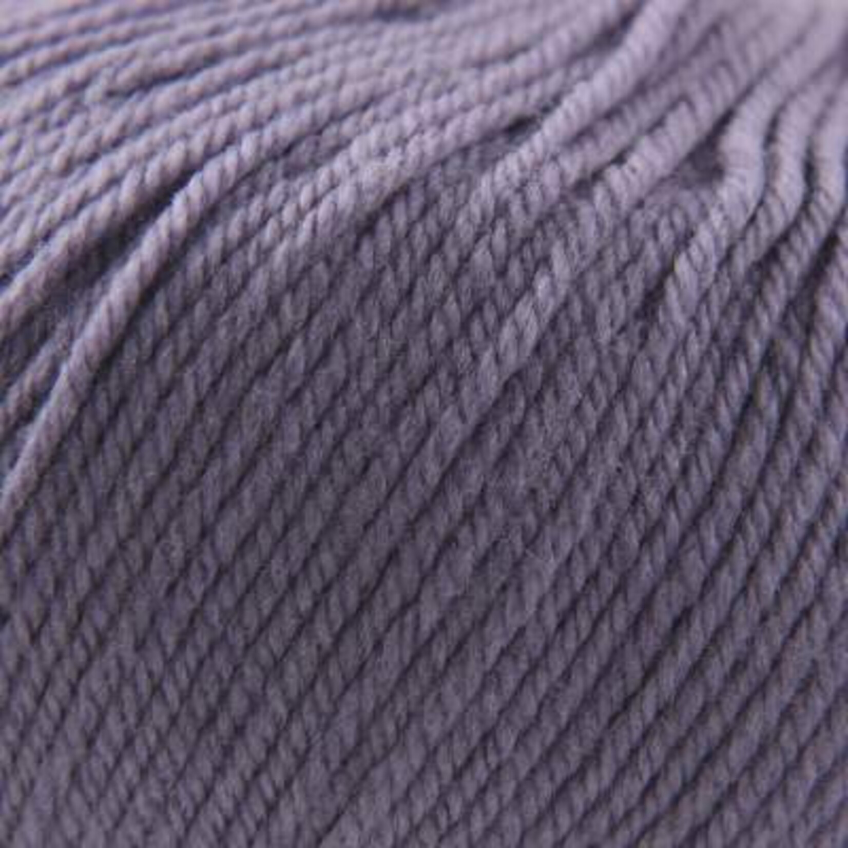 Cascade Cascade 220 Superwash - 205 Purple Sage