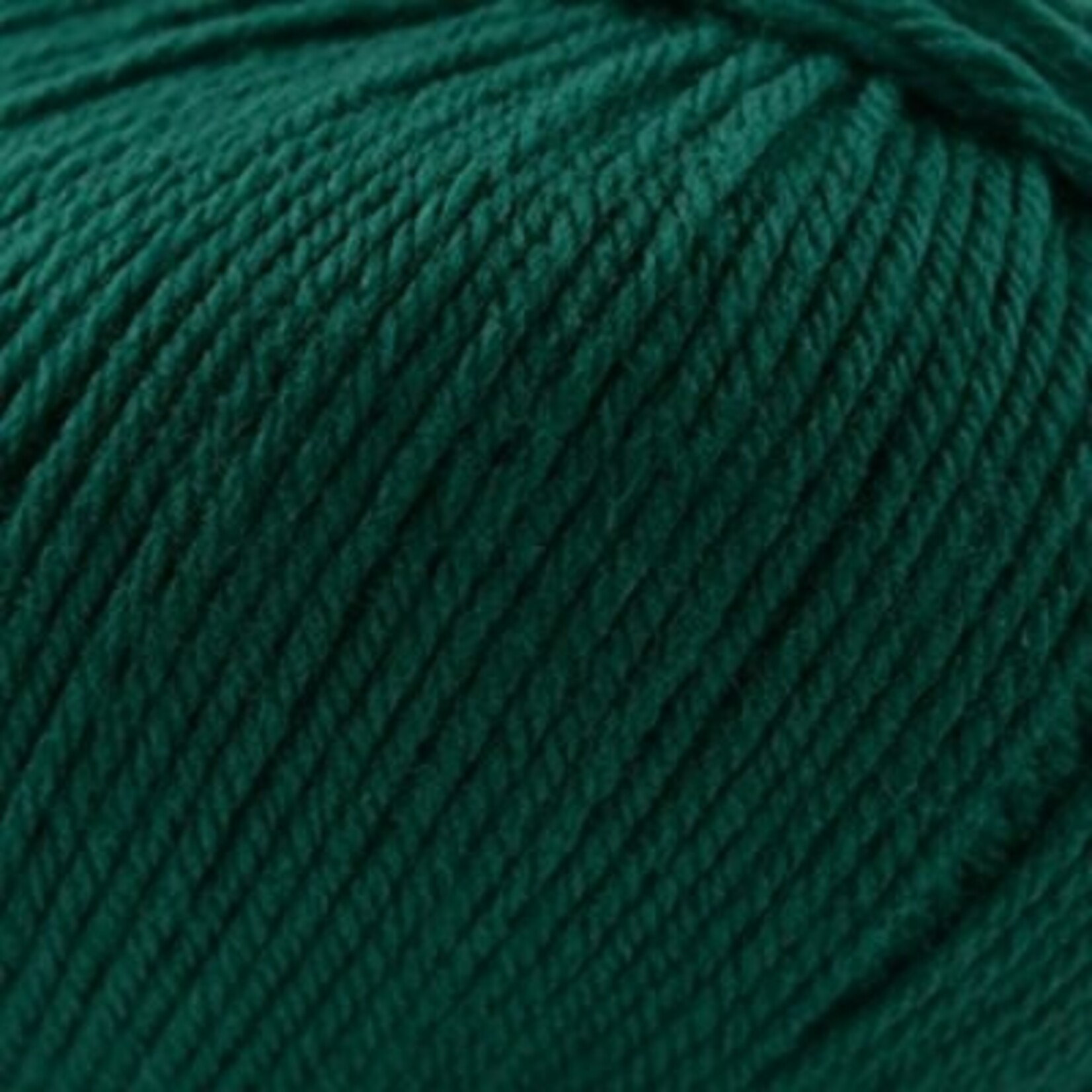 Cascade Cascade 220 Superwash - 1950 Hunter Green