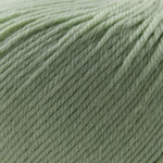 Cascade Cascade 220 Superwash - 250 Laurel Green