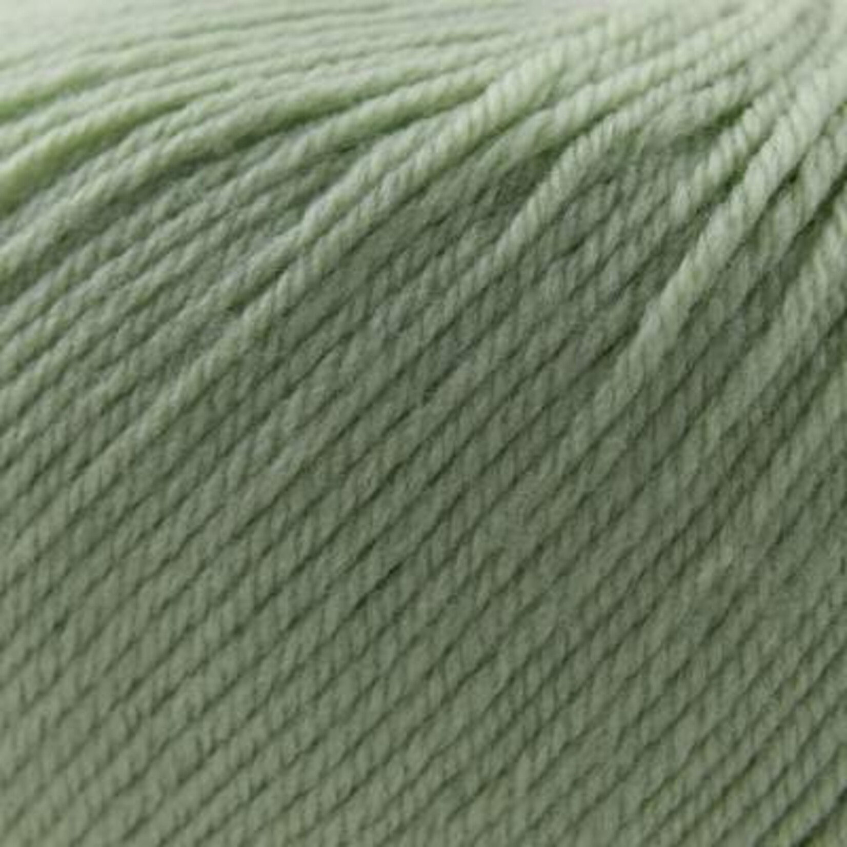 Cascade Cascade 220 Superwash - 250 Laurel Green