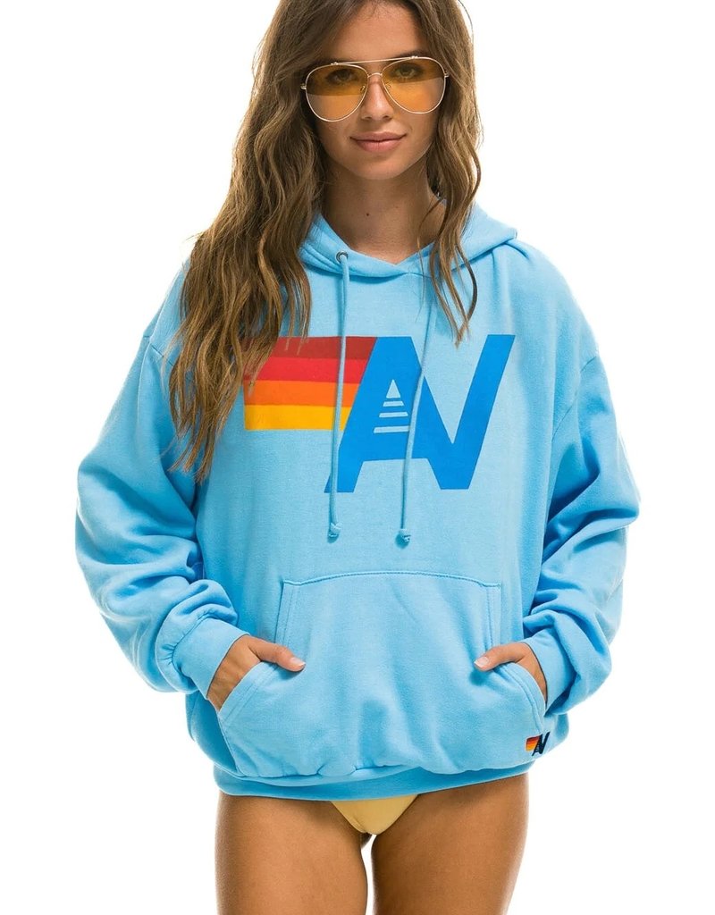 Aviator Nation Aviator Nation Relaxed Fit Logo Pullover Hoodie