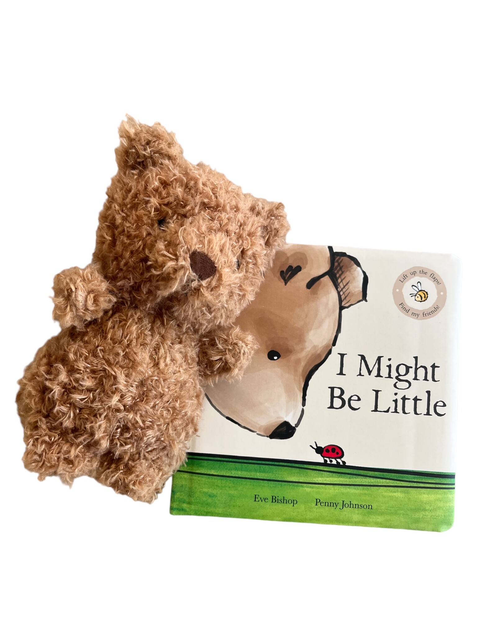 Book and Bear - Christmas Teddy Bear Stuffing Kit and Book