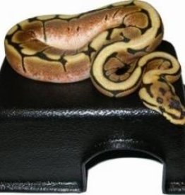 Vista Black Reptile & Snake Hide Box