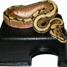 Vista Black Reptile & Snake Hide Box
