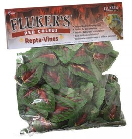 Fluker Repta-Vines Red Coleus