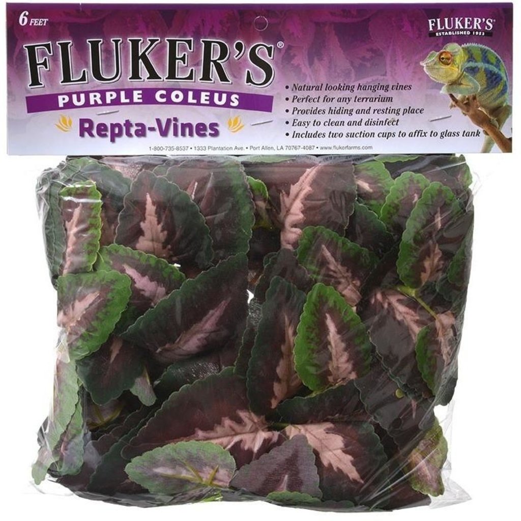 Fluker Repta-Vines Purple Coleus
