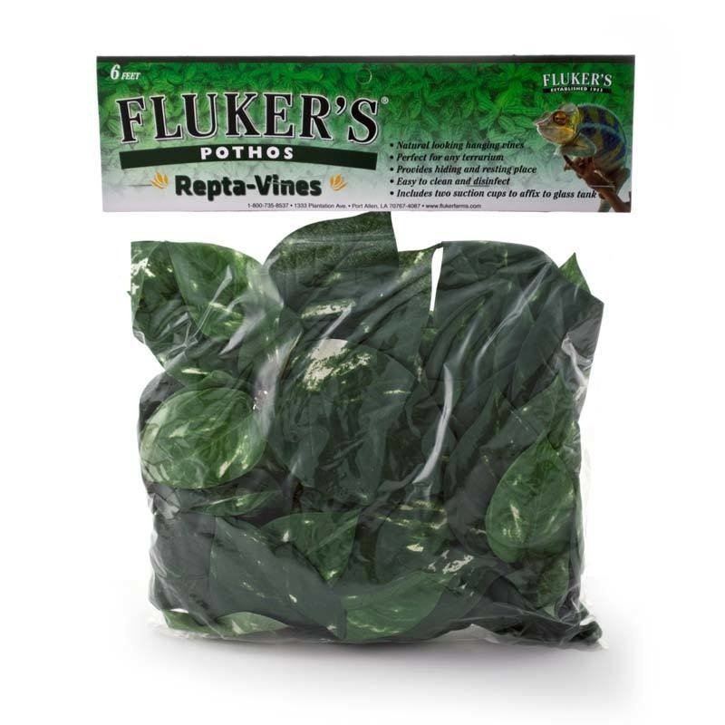 Fluker Repta-Vines Pothos