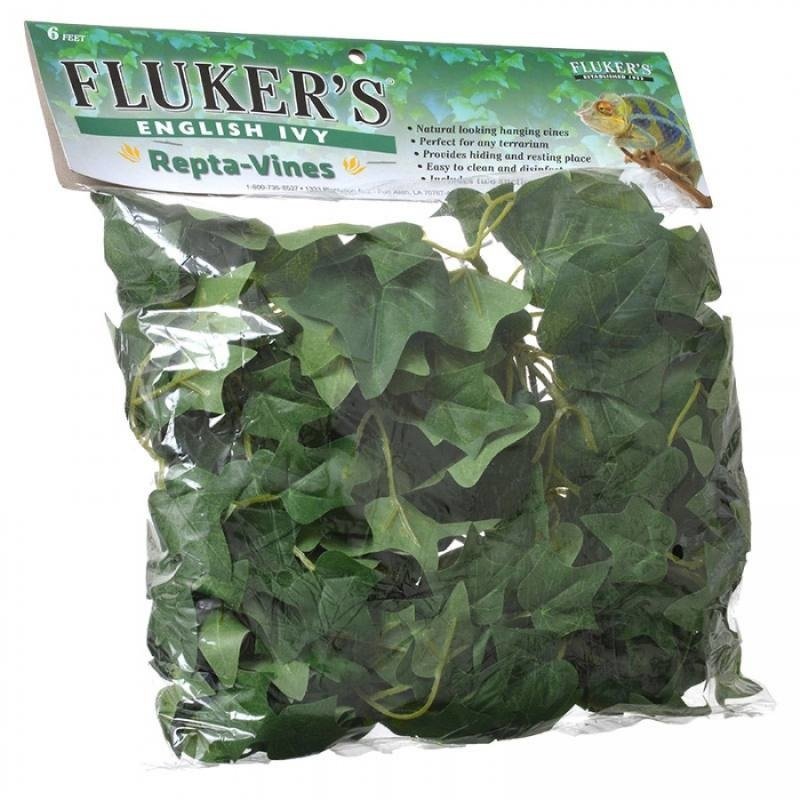 Fluker Repta-Vines English Ivy