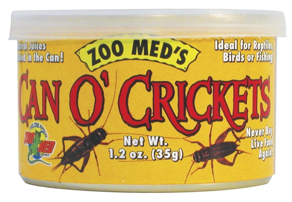 Crickets - Pet Central