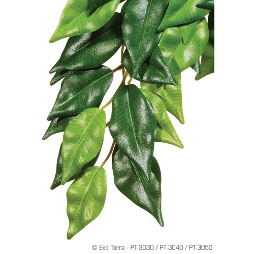 Exo Terra Hanging Silk Ficus Exo Terra Hanging Silk Ficus
