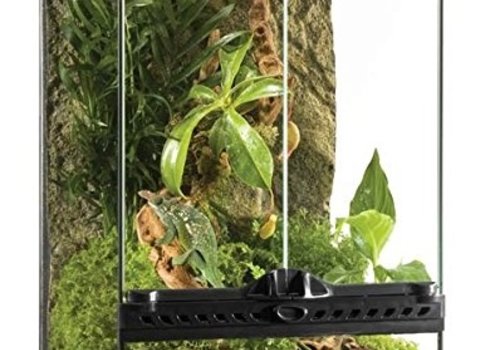 Reptile Bug Supplies For Sale Pet Central