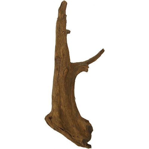 Blue Ribbon Sinking Driftwood Blue Ribbon Sinking Driftwood