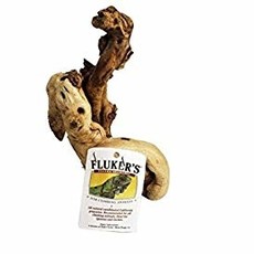 Fluker Iguana Branch