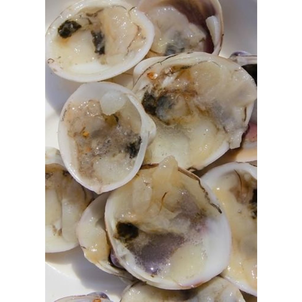 Ocean Nutrition Frozen Clams on Half Shell