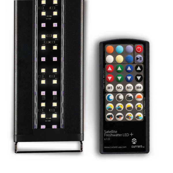 Light Fixtures Pet Central