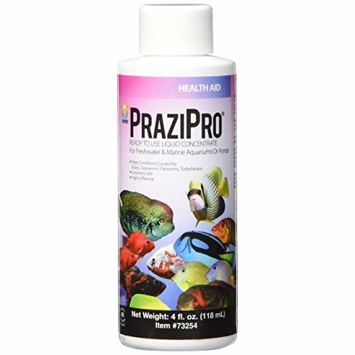 Hikari Prazi Pro Hikari Prazi Pro