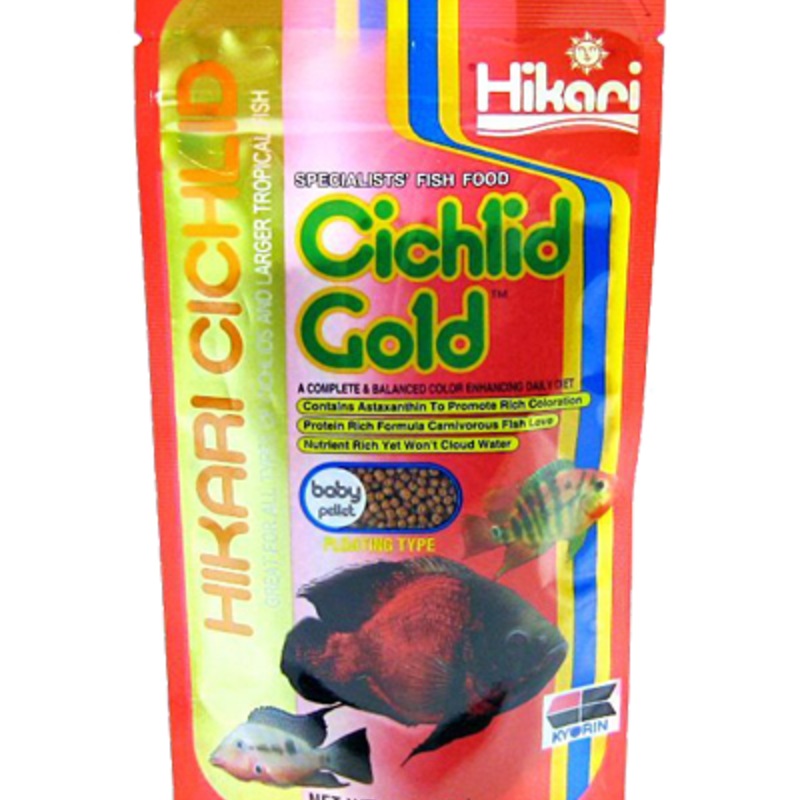 Hikari Cichlid Gold