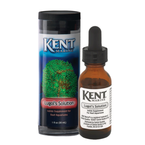 Kent Marine Kent Lugols Solution Kent Marine Kent Lugols Solution
