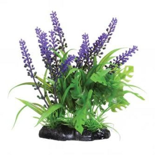 Underwater Treasures Purple Passion Underwater Treasures Purple Passion
